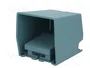 SCHNEIDER ELECTRIC Interruptor de pie azul IP66