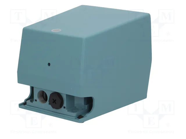 SCHNEIDER ELECTRIC Interruptor de pie azul IP66
