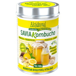Aktidrenal Savia Kombucha