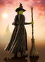 Wicked Figura S.H. Figuarts Elphaba 14 cm
