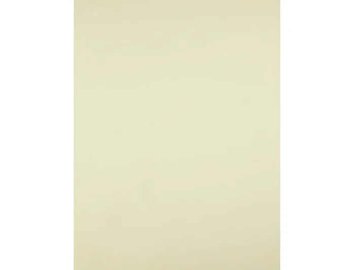 Liderpapel Cartulina Amarilla 50x65 cm 240g/m2