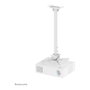 Neomounts Soporte de techo para proyector 35 kg, articulado, blanco, ajustable 74.5-114.5 cm