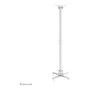 Neomounts Soporte de techo para proyector 35 kg, articulado, blanco, ajustable 74.5-114.5 cm