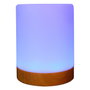 Realpower Ambiente Light 200 RGB con mando a distancia