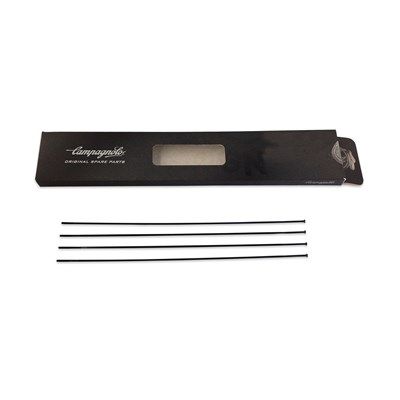 Campagnolo Radio Calima Delantero Acero Inoxidable Plano Acodado Campagnolo Radio Calima Delantero Acero Inoxidable Plano Acodado