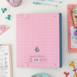 Mr. Wonderful Carpeta con Anillas A4 WOA11106ES Rosa