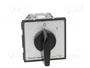 SPAMEL Interruptor de leva 16A 0-1 gris