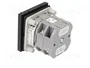 SPAMEL Interruptor de leva 16A 0-1 gris
