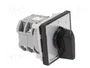 SPAMEL Interruptor de leva 16A 0-1 gris