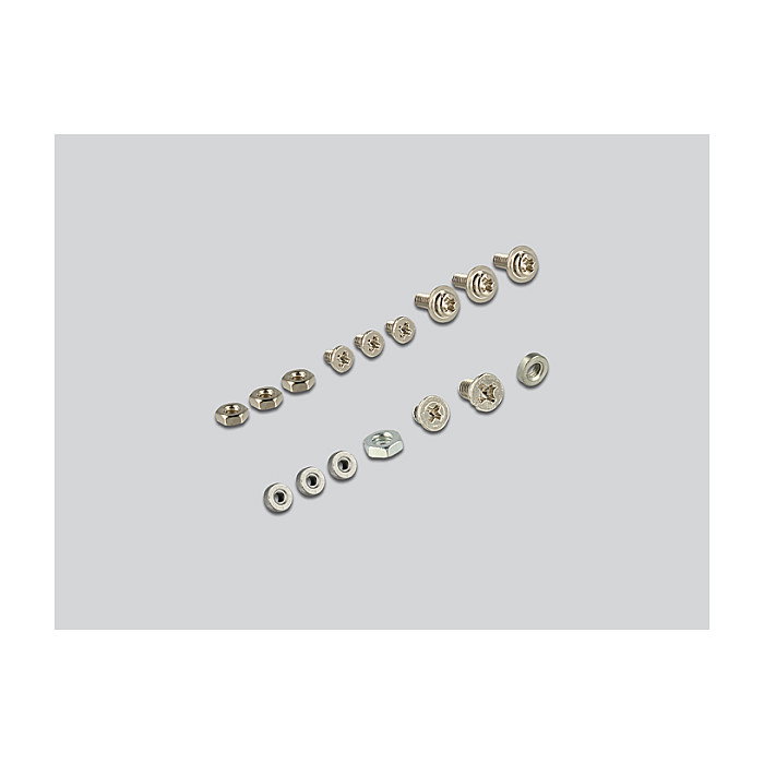 DeLOCK 62670 Convertidor SATA 22 Pin a 1 x M.2 + 1 x mSATA