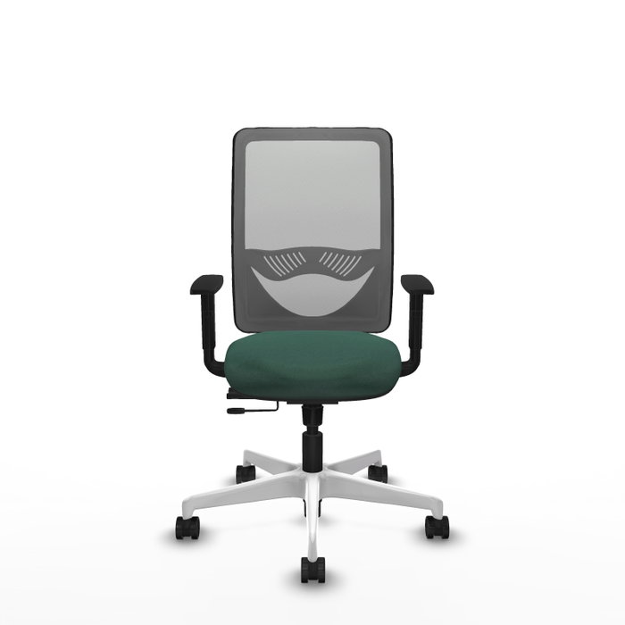 PIQUERAS Y CRESPO Silla de oficina Zulema con mecanismo Sincro/Traslack, Verde botella y Gris PIQUERAS Y CRESPO Silla de oficina Zulema con mecanismo Sincro/Traslack, Verde botella y Gris