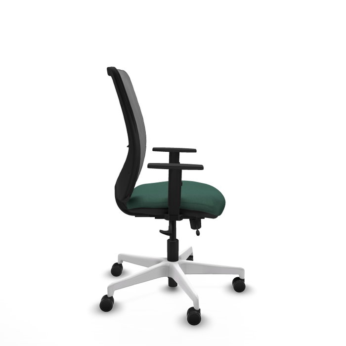 PIQUERAS Y CRESPO Silla de oficina Zulema con mecanismo Sincro/Traslack, Verde botella y Gris PIQUERAS Y CRESPO Silla de oficina Zulema con mecanismo Sincro/Traslack, Verde botella y Gris