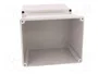 ELEKTRO-PLAST NASIELSK Carcasa Universal Industrial Gris