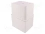 ELEKTRO-PLAST NASIELSK Carcasa Universal Industrial Gris