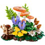 LEGO Botanicals Setas Del Bosque 11505 Set de Construcción 806 Piezas +18 Años
