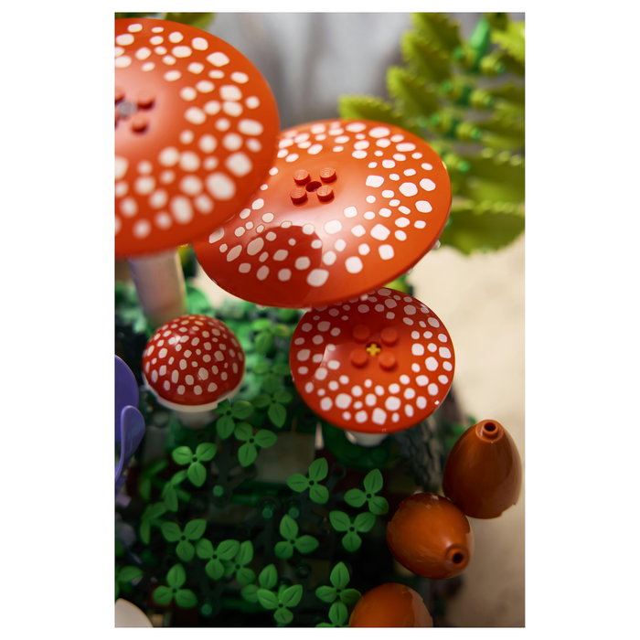 LEGO Botanicals Setas del Bosque 11505 LEGO Botanicals Setas del Bosque 11505