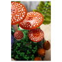 LEGO Botanicals Setas del Bosque 11505
