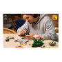 LEGO Botanicals Setas del Bosque 11505