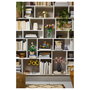 LEGO Botanicals Setas del Bosque 11505