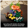 LEGO Botanicals Setas del Bosque 11505