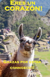 Grazas por estar connosco! (Postal), VV.AA - FACSIMILE