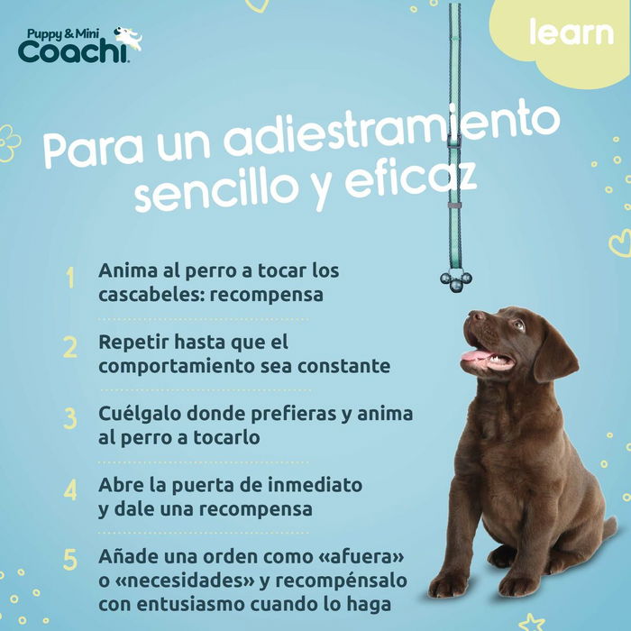 Arnés para Perro Coachi