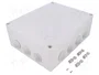ELEKTRO-PLAST NASIELSK Caja de conexiones IP55 Gris