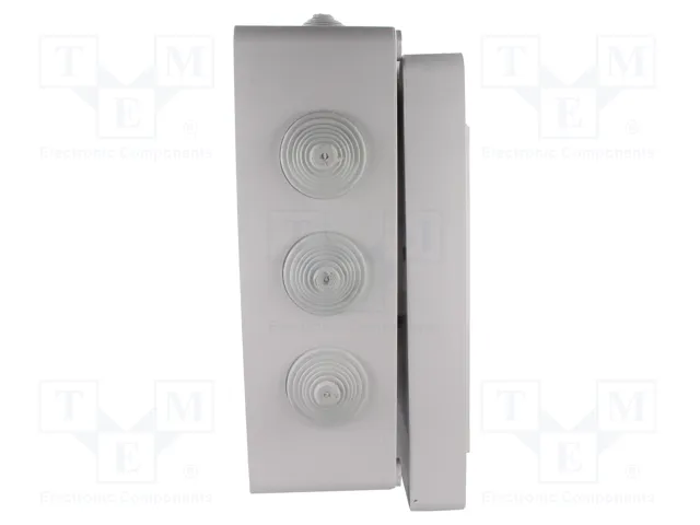 ELEKTRO-PLAST NASIELSK Caja de conexiones IP55 Gris ELEKTRO-PLAST NASIELSK Caja de conexiones IP55 Gris