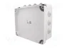 ELEKTRO-PLAST NASIELSK Caja de conexiones IP55 Gris