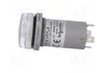 SCHNEIDER ELECTRIC Indicador de tensión Harmony XB5 30mm Blanco