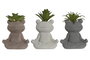 DKD Home Decor Surtido de Maceteros de Cemento con Diseño de Rana