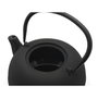 Bredemeijer Set de té Sichuan de hierro fundido con 2 tazas de porcelana, 1L, Negro