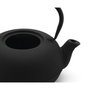 Bredemeijer Set de té Sichuan de hierro fundido con 2 tazas de porcelana, 1L, Negro