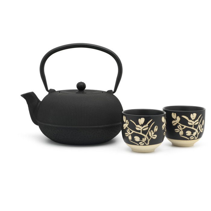 Bredemeijer Set de té Sichuan de hierro fundido con 2 tazas de porcelana, 1L, Negro Bredemeijer Set de té Sichuan de hierro fundido con 2 tazas de porcelana, 1L, Negro