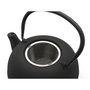 Bredemeijer Set de té Sichuan de hierro fundido con 2 tazas de porcelana, 1L, Negro
