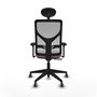 Silla de oficina Motilla con mecanismo Sincro tapizada con Tela color Rosa y malla color Gris. Equipada con lumbar 1D, Brazos 3D, Cabecero Fijo y Ruedas 65 mm parqué
