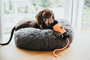 Envase Hunter Dummy Snacks Negro Naranja