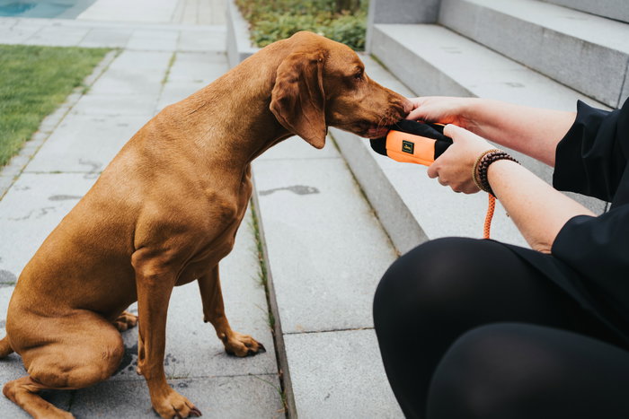 Envase Hunter Dummy Snacks Negro Naranja