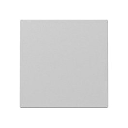 GIRA 3296015 Wippe System 55 Gris