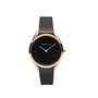 Reloj Mujer Bering 17031-166 (Ø 31 mm)