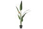 DKD Home Decor Planta Ave del Paraíso Verde 50x50x150 cm