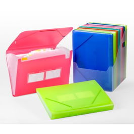 Carchivo Clasificador Carpeta Archivo Acordeón Folio 13 Departamentos con Gomas, Polipropileno Translúcido Azul