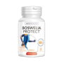INTERSA Boswelia Protect 500mg, 45 perlas