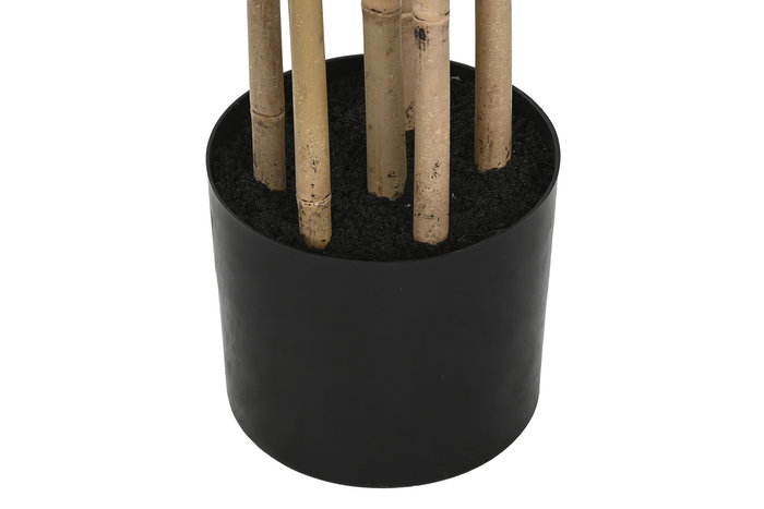 DKD Home Decor Planta Oriental de Bambú, Set de 2 Unidades, Verde/Natural, Dimensiones: 50 x 210 x 50 cm