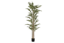 DKD Home Decor Planta de Bambú Verde 50x50x210 cm
