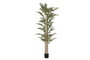 DKD Home Decor Planta de Bambú Verde 50x50x210 cm