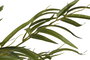 DKD Home Decor Planta Oriental de Bambú, Set de 2 Unidades, Verde/Natural, Dimensiones: 50 x 210 x 50 cm
