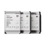 Synology HAS5300-12T Disco Duro Interno 12 TB 3.5 pulg SAS