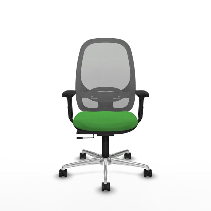 PIQUERAS Y CRESPO Silla de oficina Cilanco con mecanismo Sincro/Traslack, Tela Verde y Malla Gris PIQUERAS Y CRESPO Silla de oficina Cilanco con mecanismo Sincro/Traslack, Tela Verde y Malla Gris