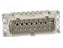WIELAND Conector HDC macho de 16 pines para panel